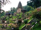 tour packages bali driver