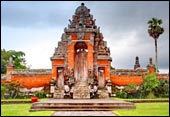 tour packages bali driver